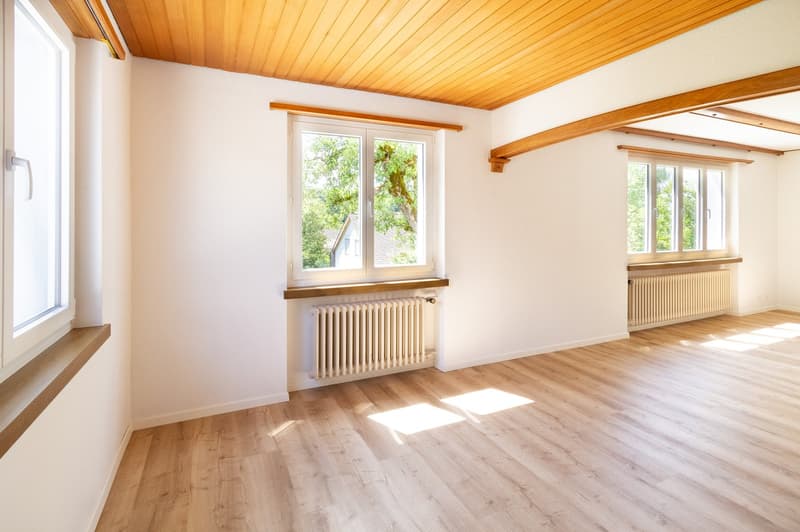 Wunderschönes Einfamilienhaus mit Garten (4)