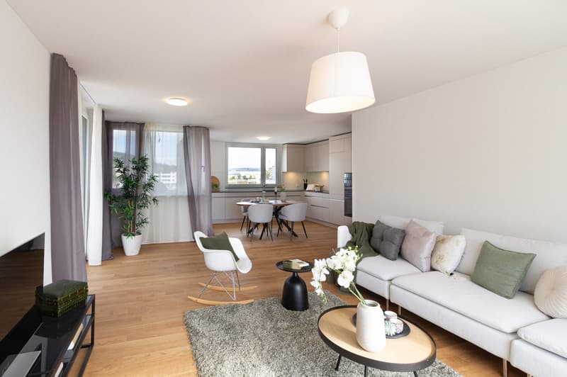 Première location : Attique de rêve de 2,5 pièces dans un nouvel immeuble avec terrasse de 67 m² et vue panoramique (1)