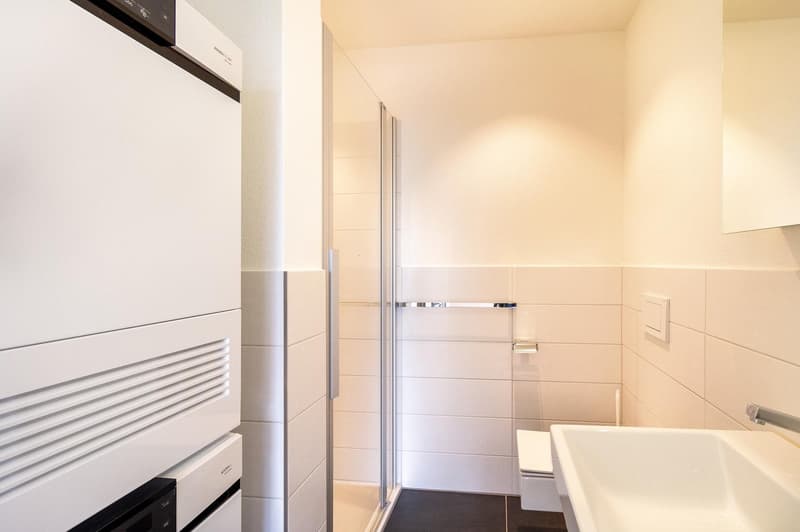 Helle 3½-Zimmer Attikawohnung mit grosser Terrasse (8)