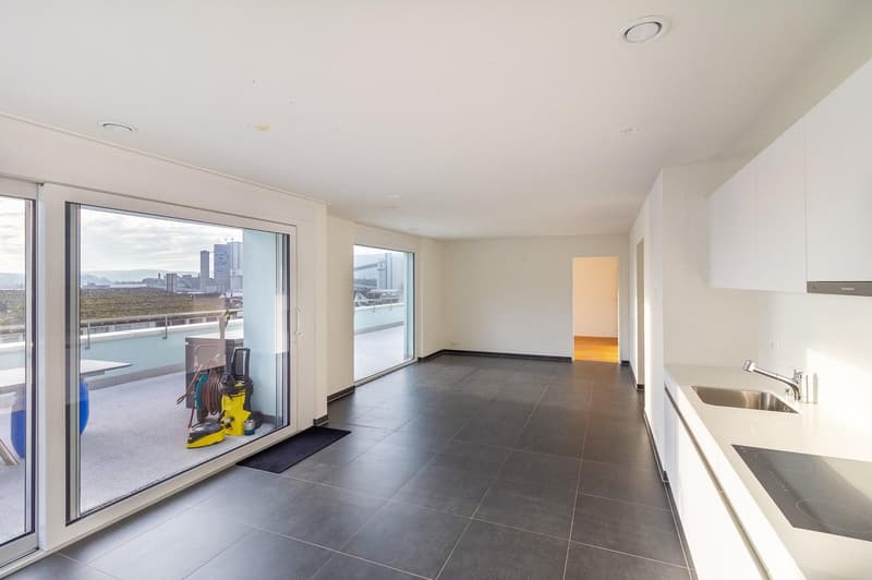 Helle 3½-Zimmer Attikawohnung mit grosser Terrasse (2)