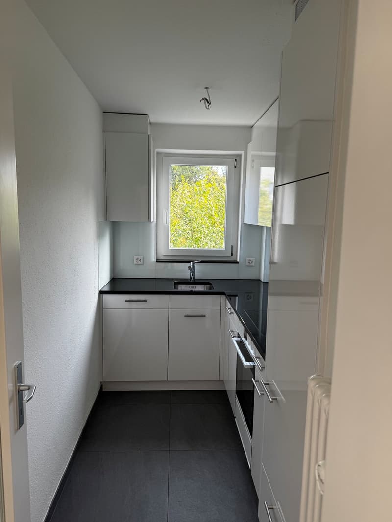 Charmante 3-Zimmer-Wohnung an der Seidenstrasse in Brugg (4)