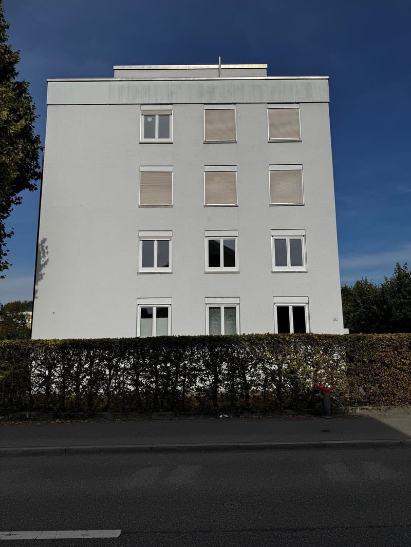Charmante 3-Zimmer-Wohnung an der Seidenstrasse in Brugg (1)