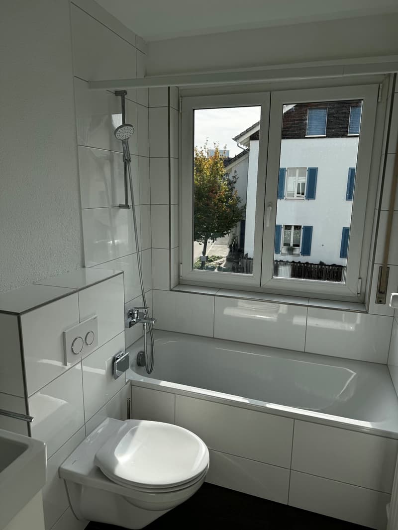 Charmante 3-Zimmer-Wohnung an der Seidenstrasse in Brugg (5)