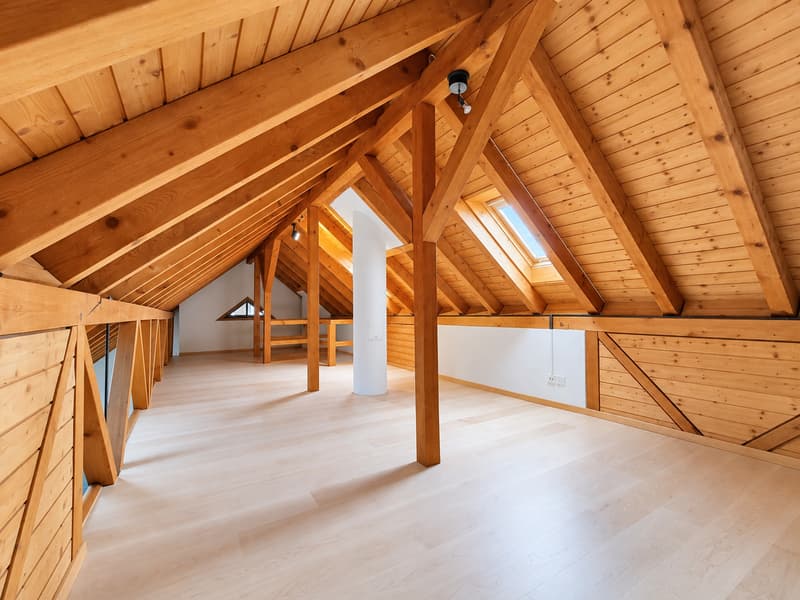 Renovierte 4½-Zimmer Maisonettewohnung an zentraler Lage– ab sofort verfügbar (4)