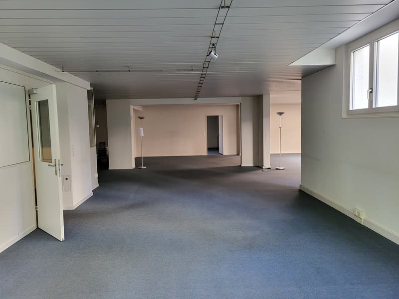 Wide empty room, two lamps, carpeted floor, white walls, open door, windows