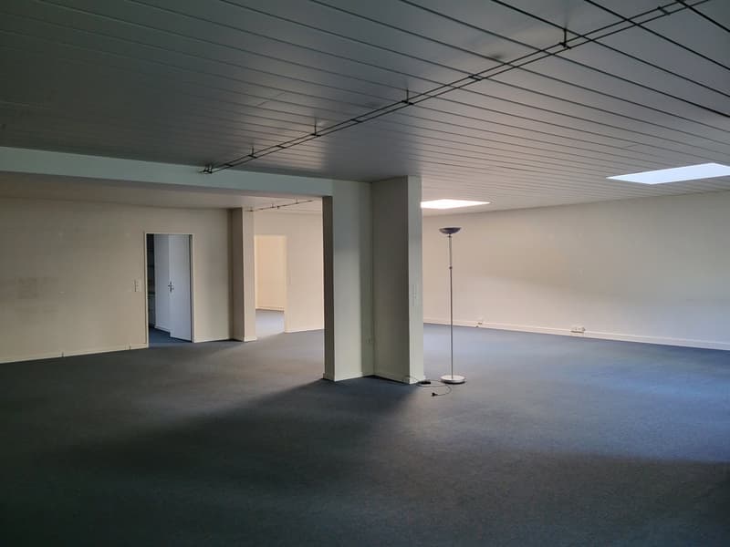 Empty room, carpeted floor, white walls, two entrance doors, one with white door, two skylights, lamp, pillar