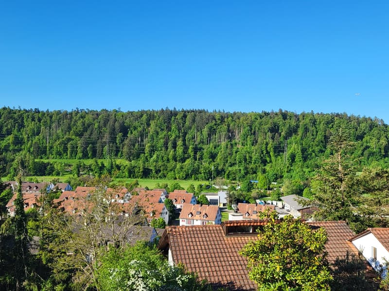 Modern new building project in an attractive hillside location in Glattfelden – living in the green with comfort (2)