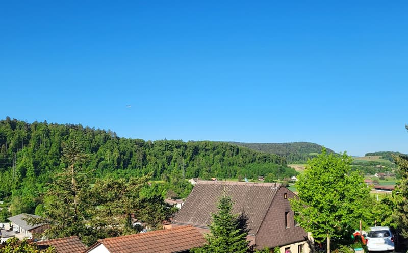 Modern new construction project in an attractive hillside location in Glattfelden – living in the green with comfort (2)