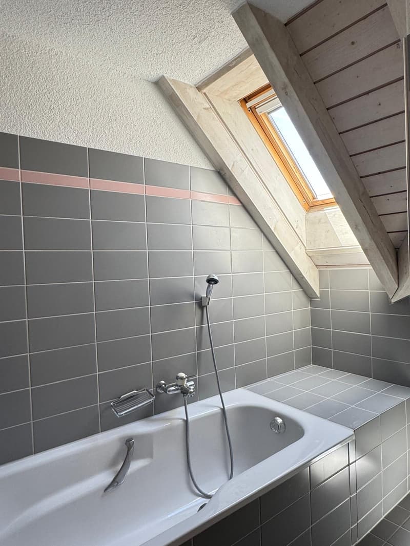 Schöne Maisonette-Wohnung für Singles oder Paar (4)