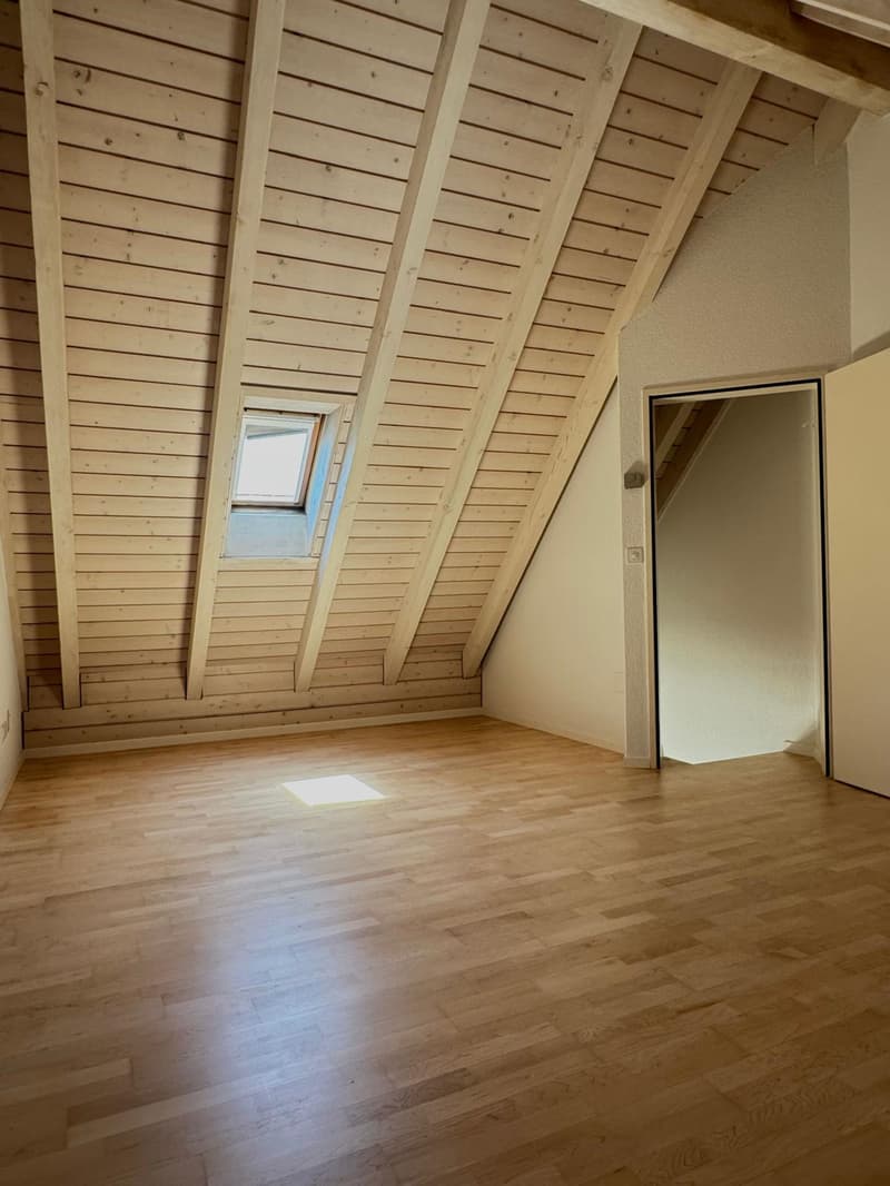 Schöne Maisonette-Wohnung für Singles oder Paar (9)