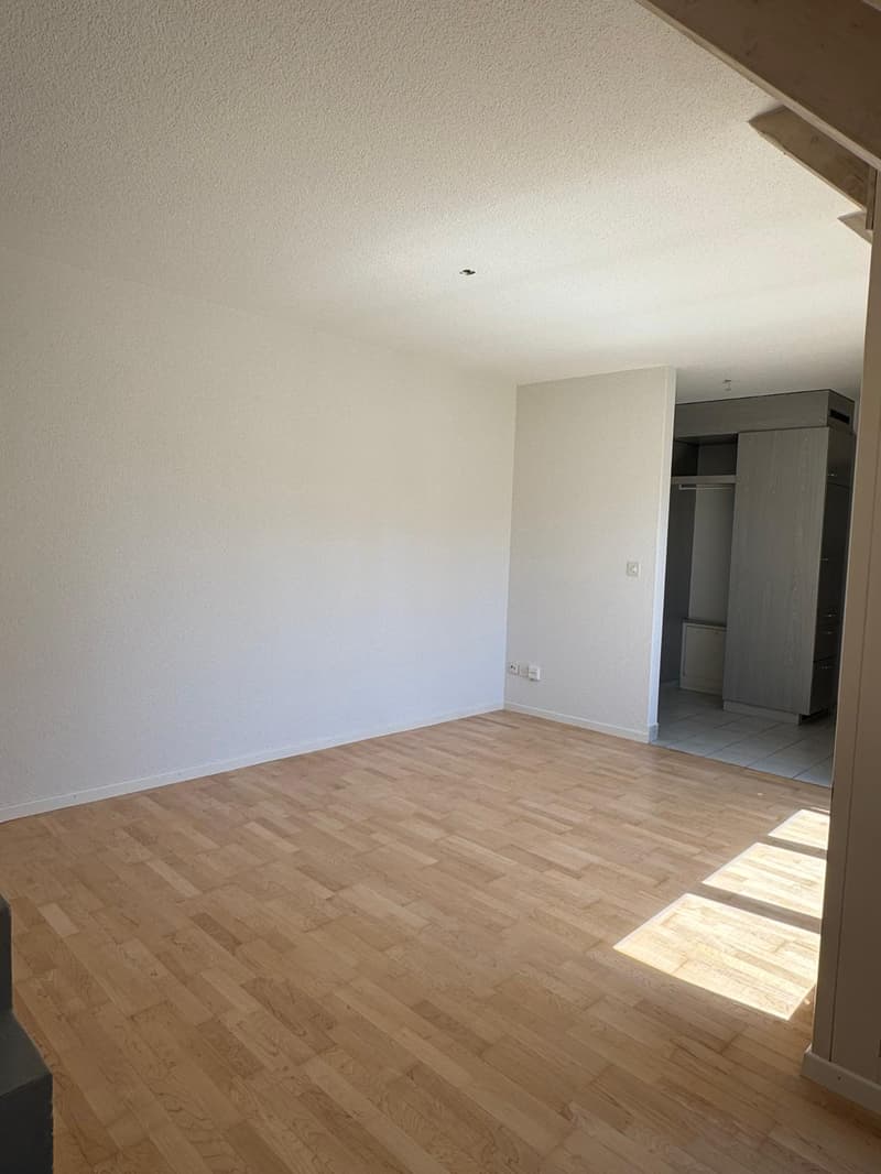 Schöne Maisonette-Wohnung für Singles oder Paar (6)
