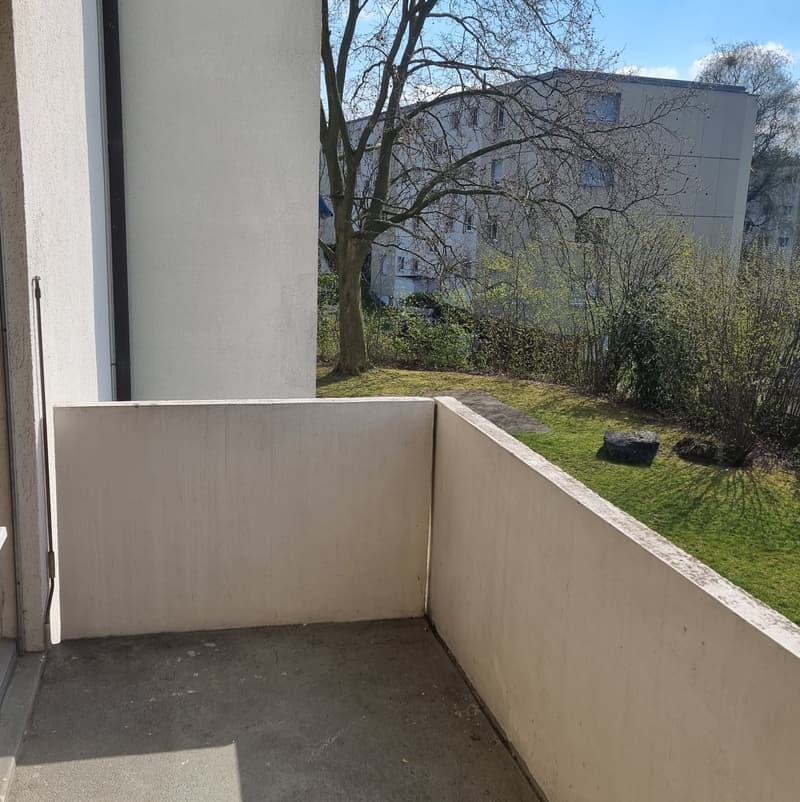 Helle neu sanierte 2.5 Zimmerwohnung! (8)