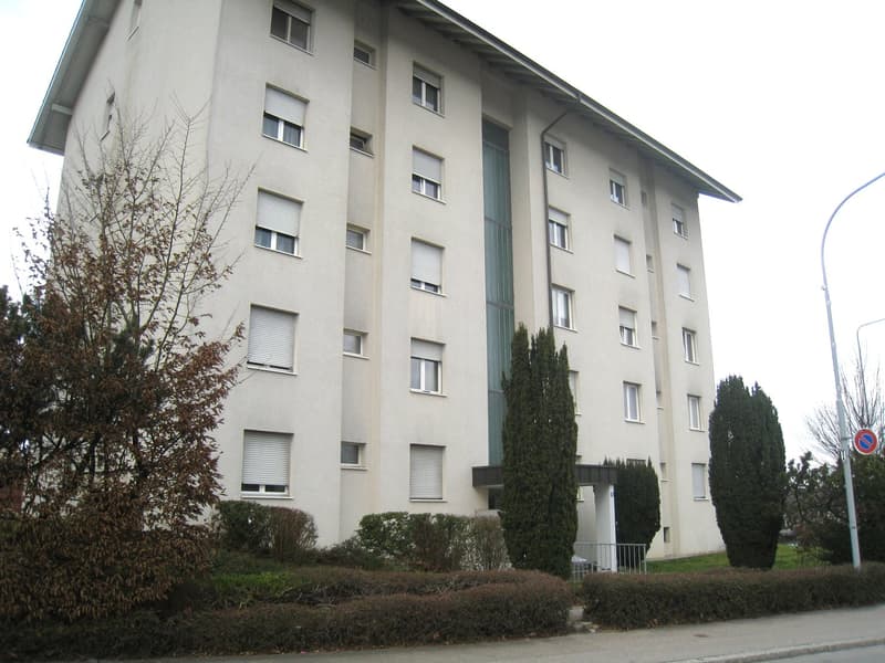 Helle neu sanierte 2.5 Zimmerwohnung! (1)