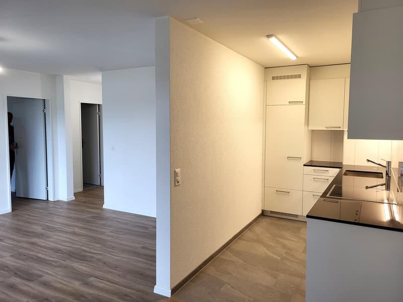 Helle neu sanierte 2.5 Zimmerwohnung! (3)