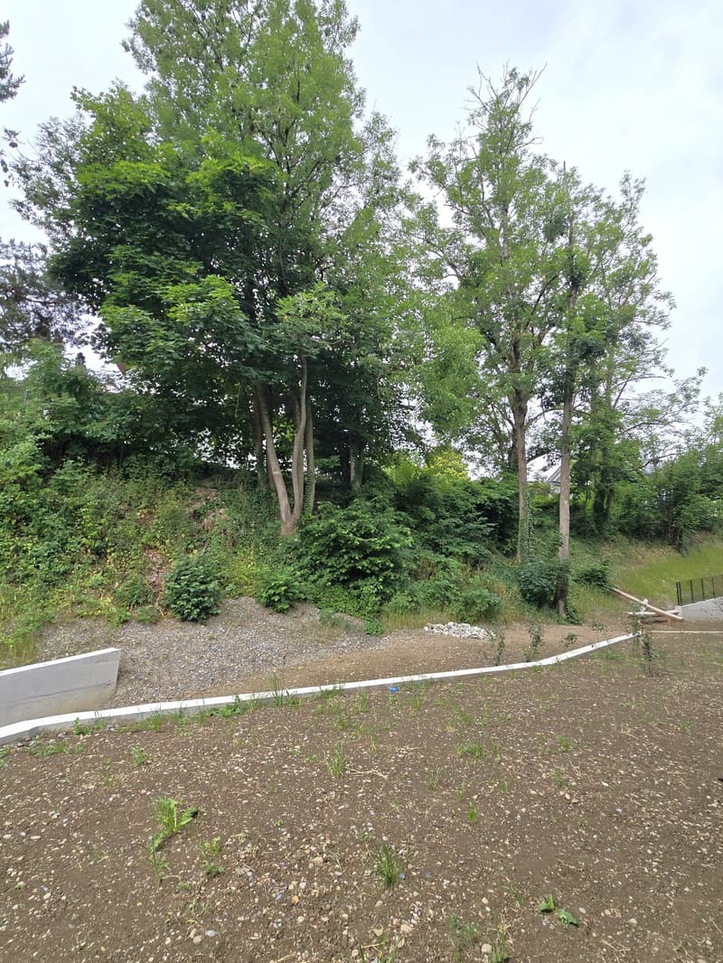 «Primo affitto» Appartamento di giardino moderno 4,5 locali, a soli 20 minuti da Zurigo (10)