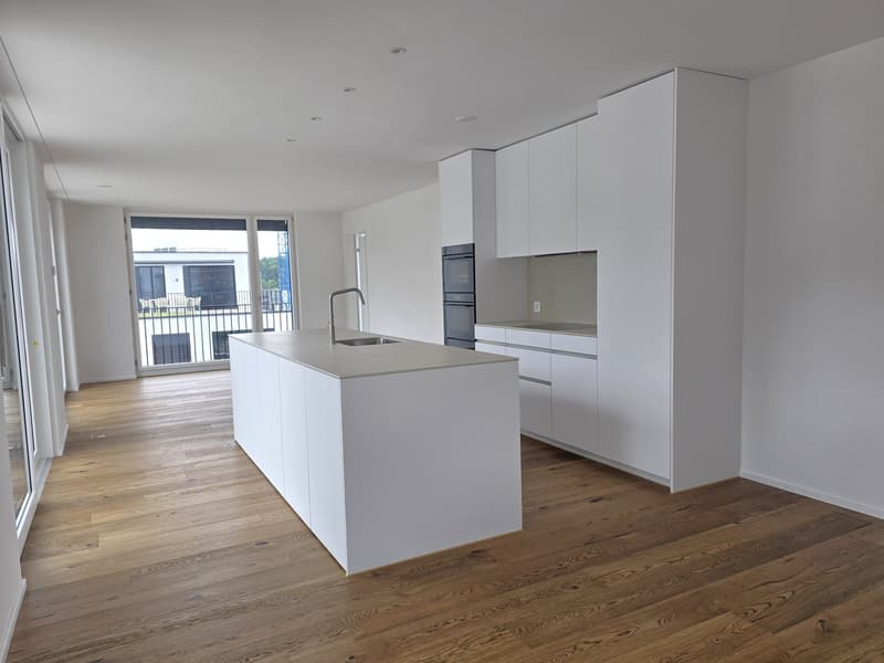«Erstbezug» Appartamento moderno 3.5 locali in attico con grande terrazza sul tetto, a soli 20 minuti da Zurigo (3)