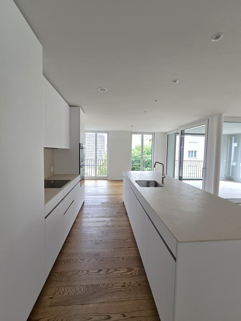 «Erstbezug» Moderne 5.5 Zimmerwohnung an zentraler Lage, nur 20 Minuten von Zürich (3)