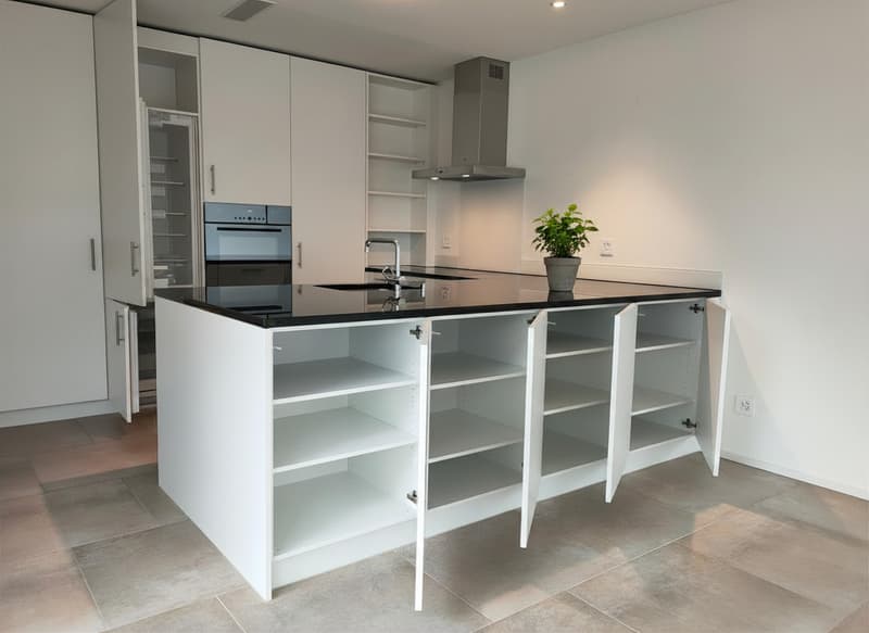 Take advantage of the opportunity - 4.5 room apartment near the train station (3)