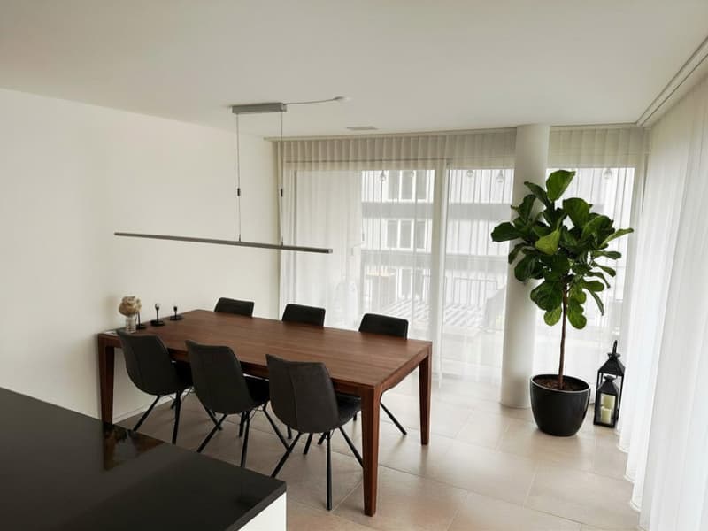 Take advantage of the opportunity - 4.5 room apartment near the train station (2)