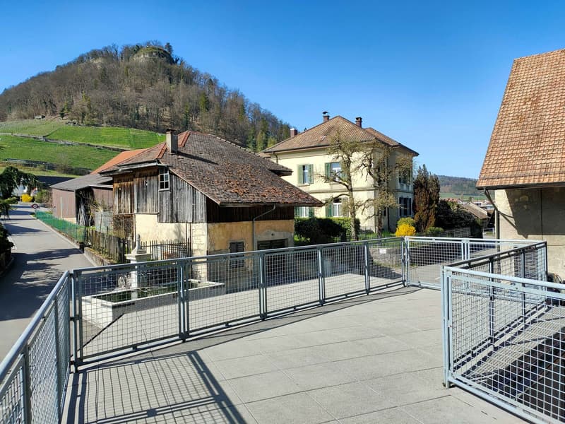 3 1/2-Zimmerwohnung an ruhiger Lage mit sonniger Terrasse (1)