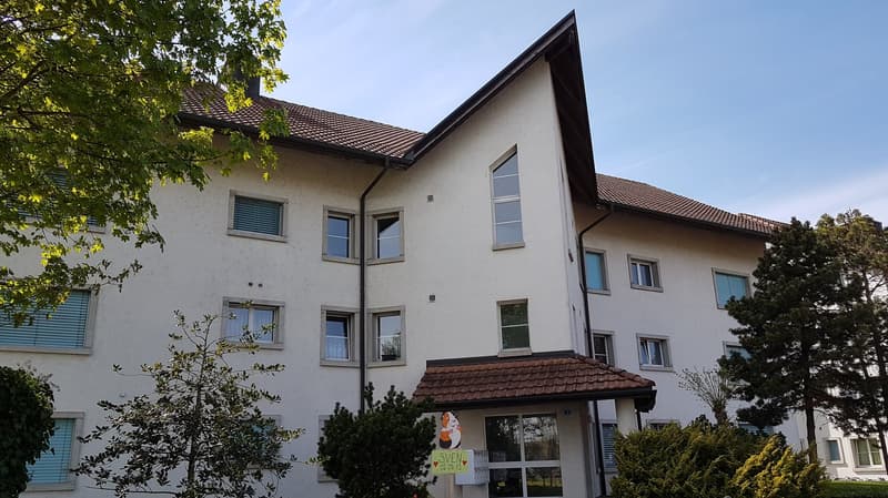 Attractive renovated, sunny 3.5-room apartment (2)
