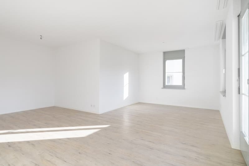 Attractive renovated, sunny 3.5-room apartment (8)