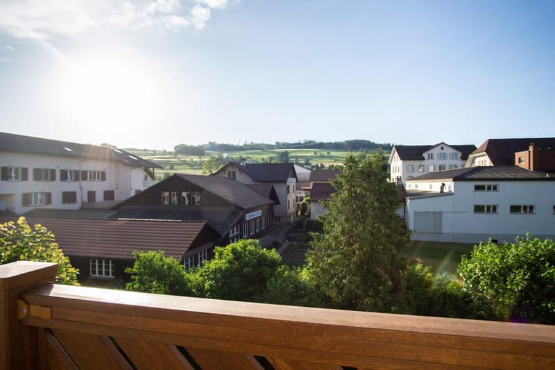 Attractive renovated, sunny 3.5-room apartment (3)