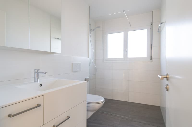 Attractive renovated, sunny 3.5-room apartment (10)