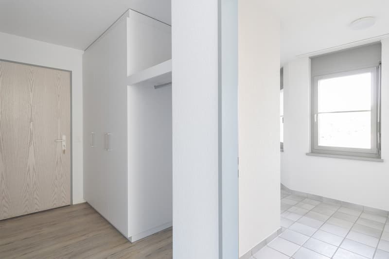 Attractive renovated, sunny 3.5-room apartment (12)