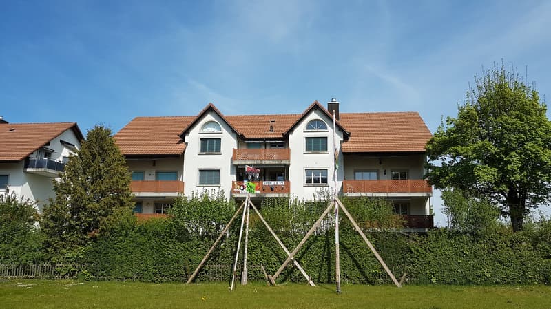 Attractive renovated, sunny 3.5-room apartment (1)