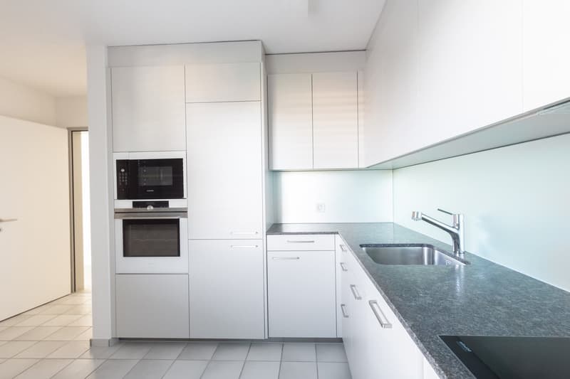 Attractive renovated, sunny 3.5-room apartment (6)