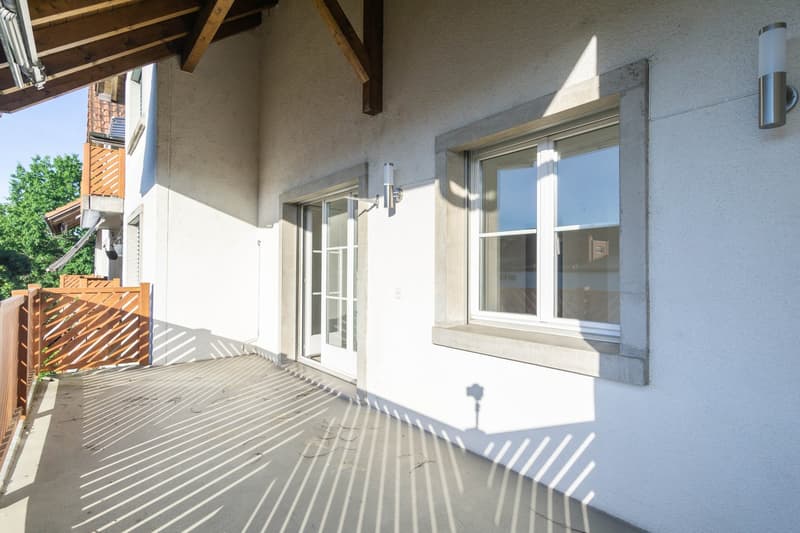 Attractive renovated, sunny 3.5-room apartment (4)