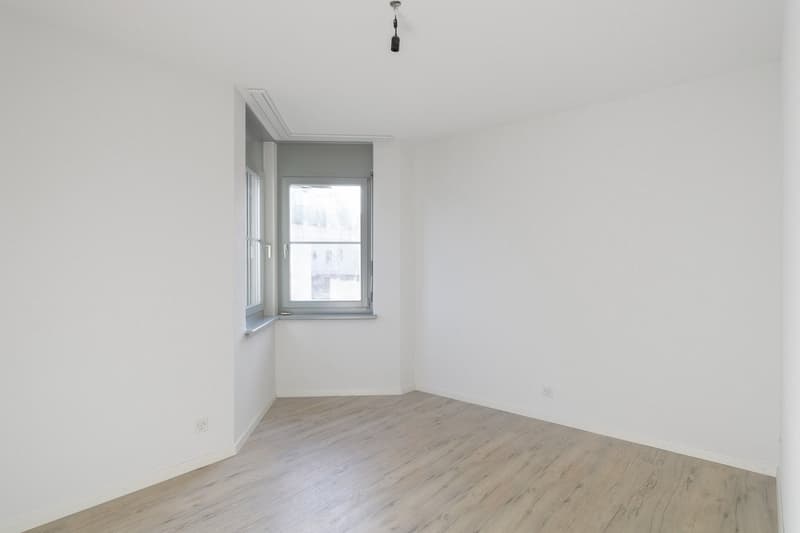Attractive renovated, sunny 3.5-room apartment (13)