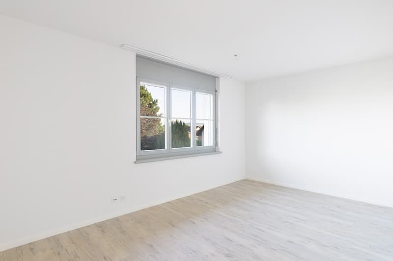 Attractive renovated, sunny 3.5-room apartment (14)