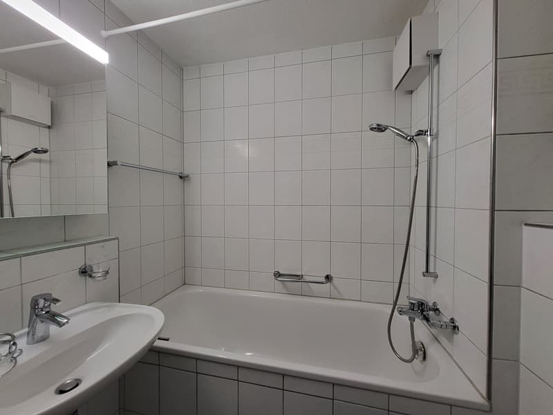 Central 3-room apartment on the ground floor (8)