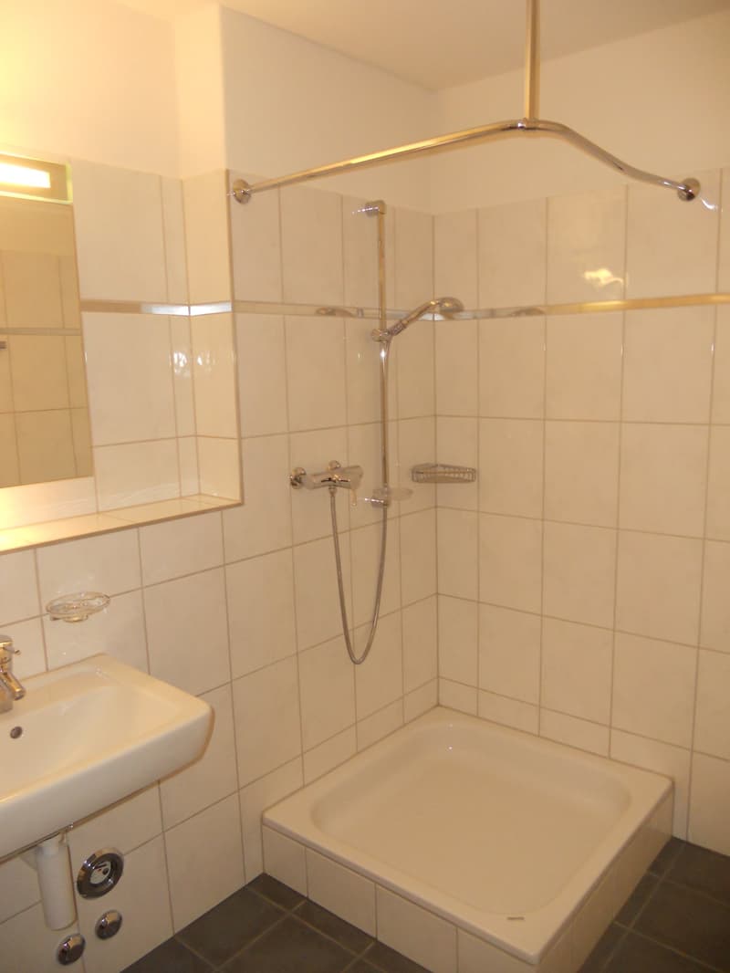 Helle, moderne 5½-Zimmer-Dachwohnung an zentraler Lage (4)