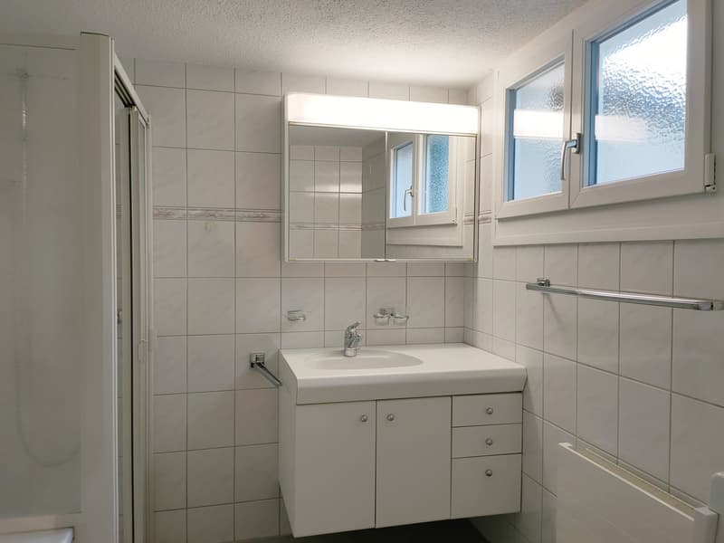Historische 3 ½-Zimmerwohnung mit grossem Gartenbereich (7)