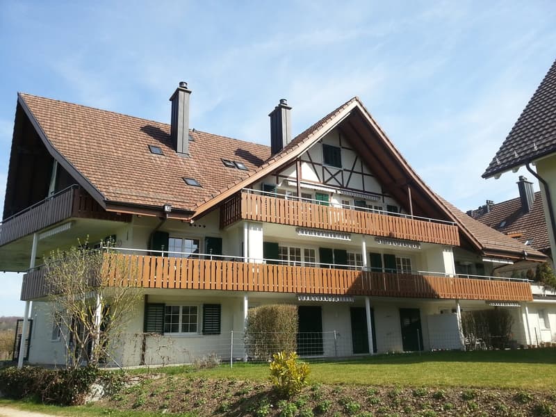 Attraktive, lichtdurchflutete Gartenwohnung! (1)