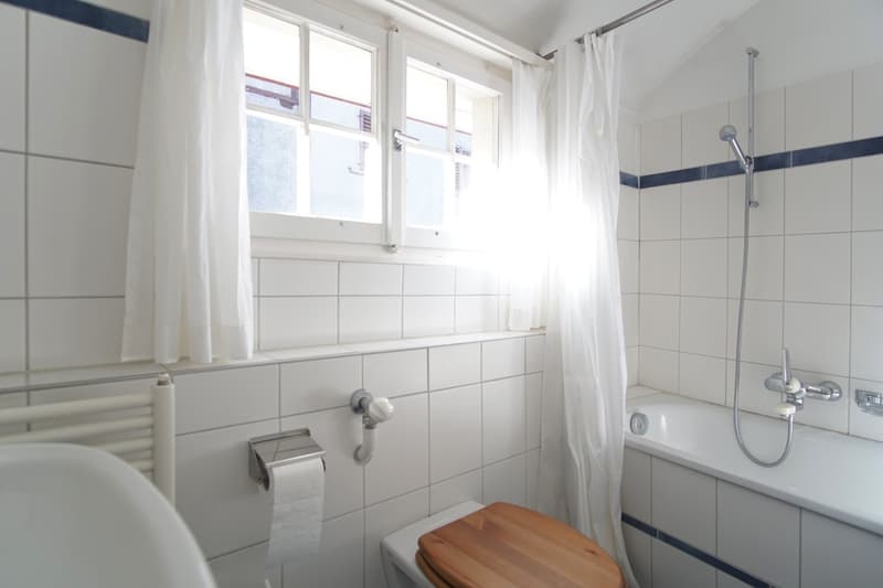 Attractive furnished attic apartment in the old town (9)