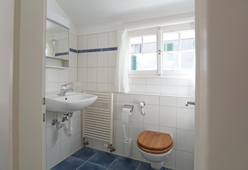 Attractive furnished attic apartment in the old town (10)