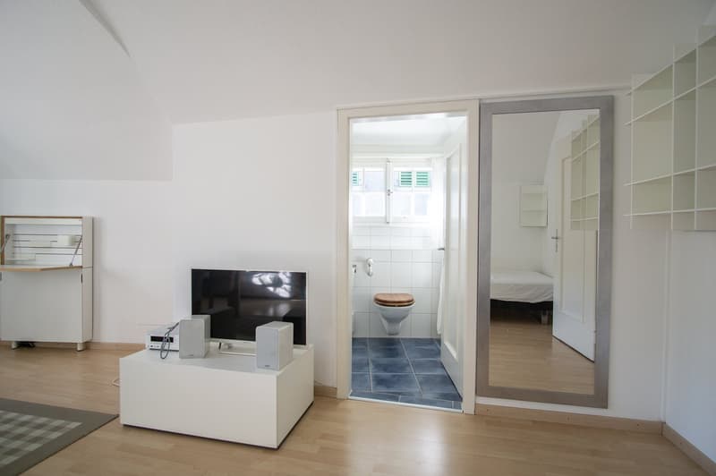 Attractive furnished attic apartment in the old town (3)