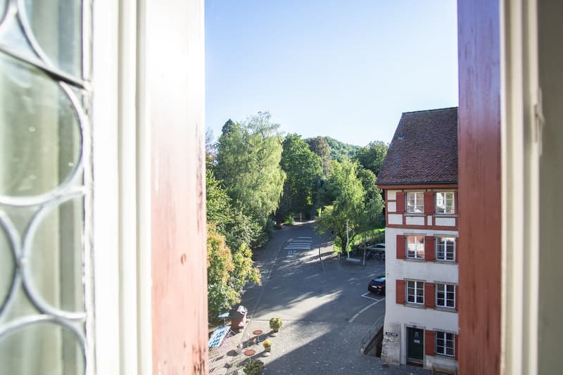 Attractive furnished attic apartment in the old town (11)