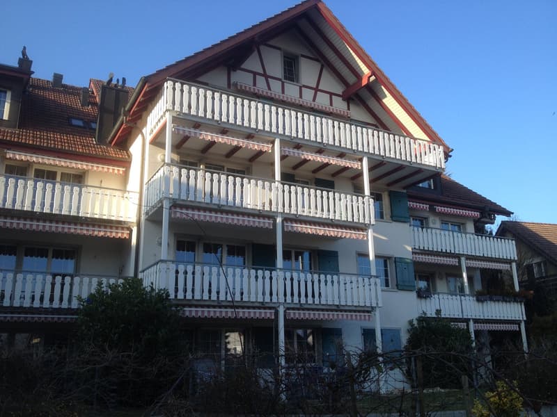 schöne und helle 3½-Zimmerwohnung mit Charme (3)
