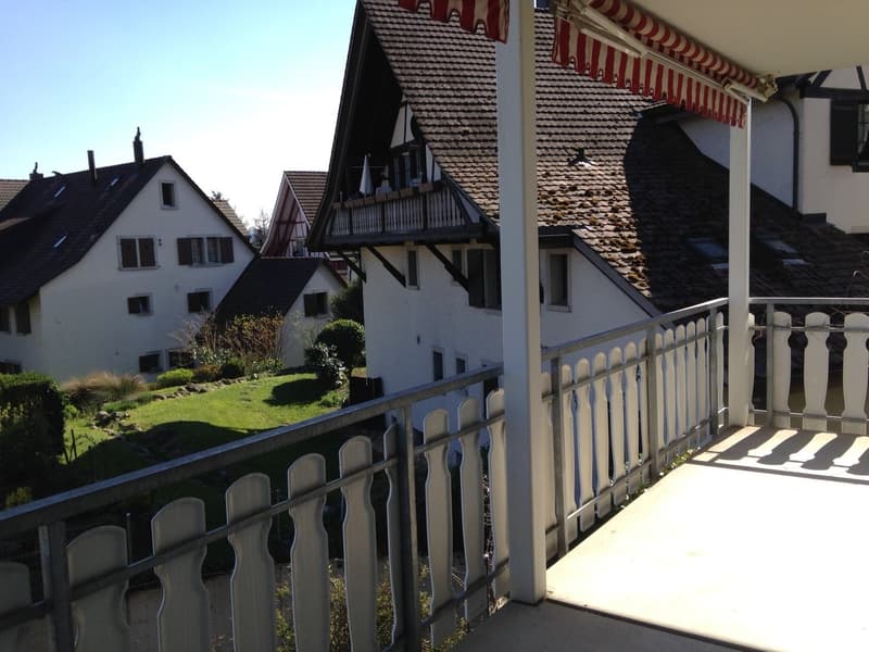 schöne und helle 3½-Zimmerwohnung mit Charme (2)