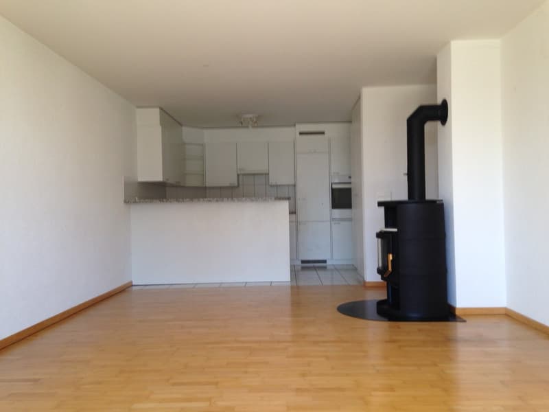schöne und helle 3½-Zimmerwohnung mit Charme (5)
