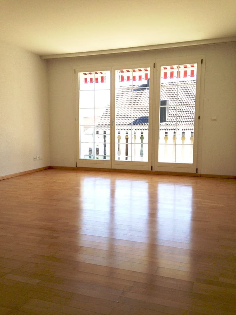 schöne und helle 3½-Zimmerwohnung mit Charme (4)