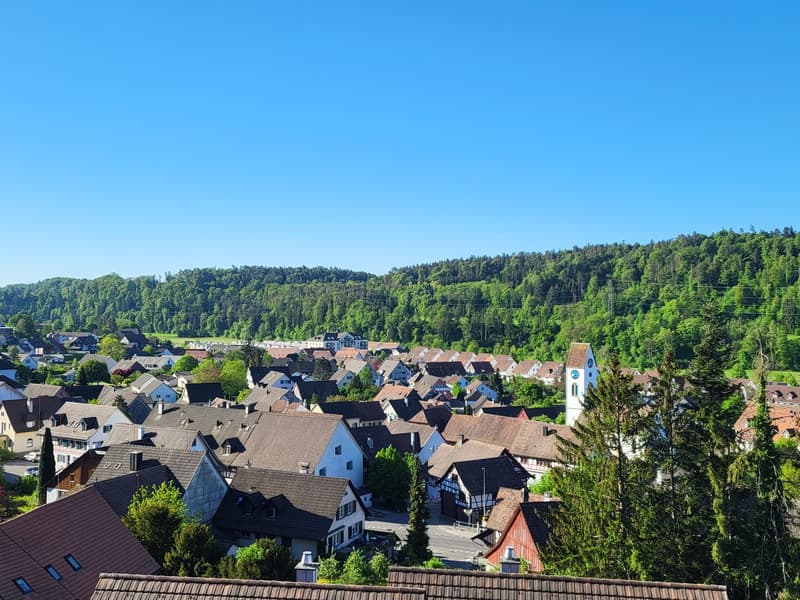 Modernes Neubauprojekt an attraktiver Hanglage von Glattfelden – Wohnen im Grünen mit Komfort (2)