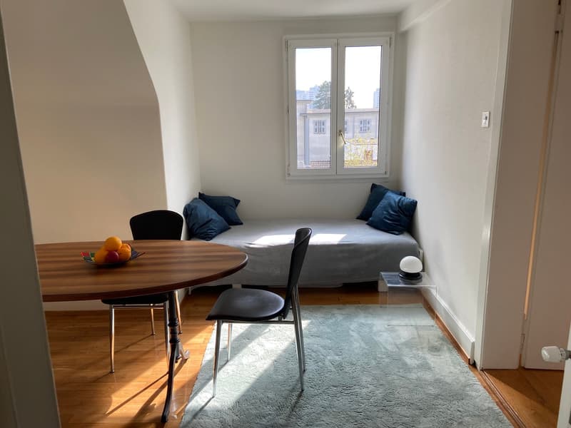 Möblierte 2-Zimmer-Dachwohnung - ideal für Singles (4)