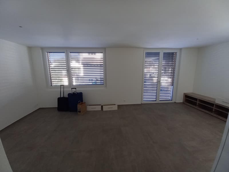 Moderne Wohnung für Einzelpersonen (3)