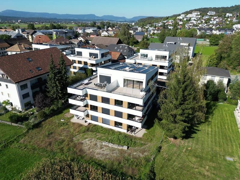 Moderne Wohnung für Einzelpersonen (1)